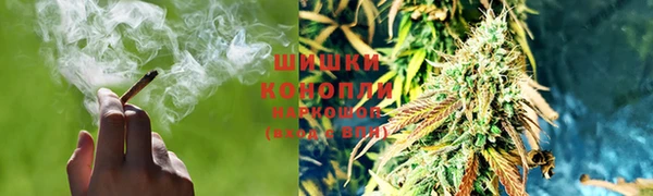 ПСИЛОЦИБИНОВЫЕ ГРИБЫ Бородино